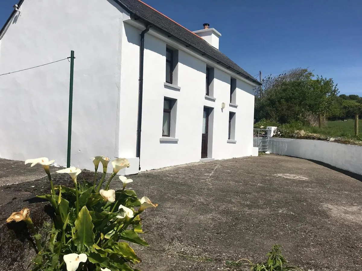 Eileen'S House Cork